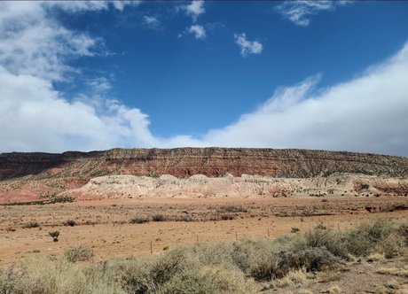 cui free adult star pic