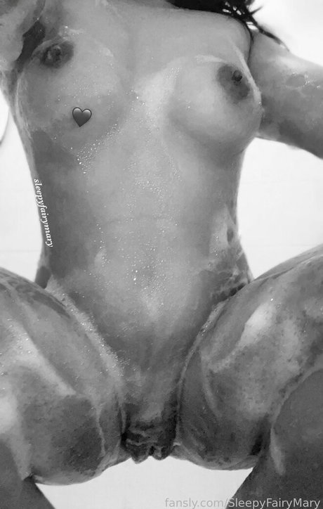 Fairy Mary best model archive