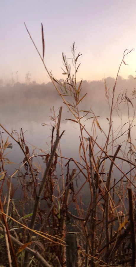 Guns and Ammo naked star pictures