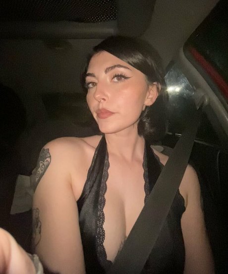 viragho star galleries