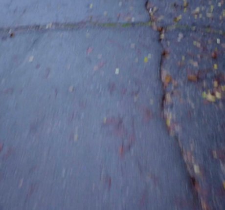 Snow Deville art model pics