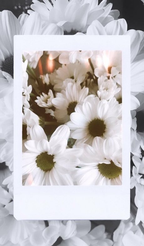 hippie luna erotic star photos