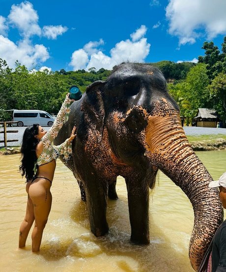 Cinthia Cruz hot pornstar image