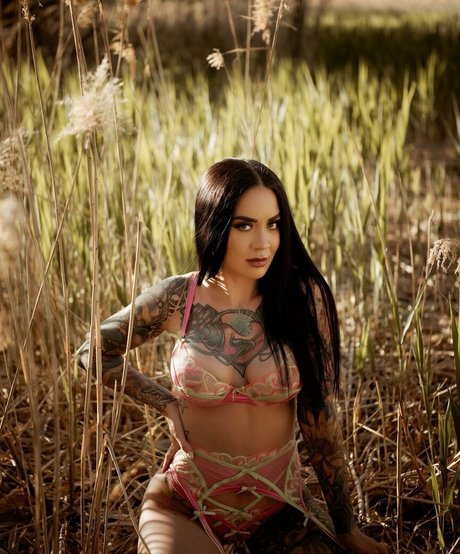 Megs v2 best pornstar photos