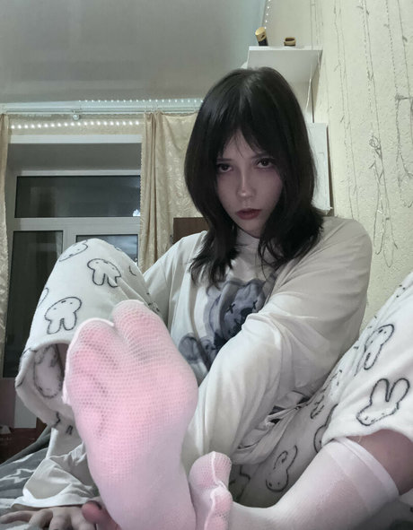 tamokka star high quality picture