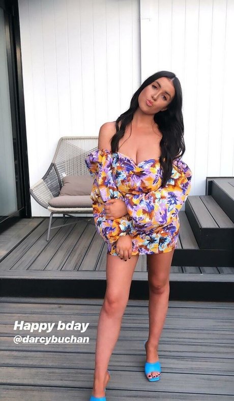 Darcy Buchan art pornstar galleries