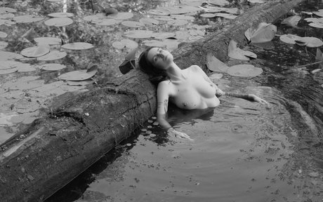 a krivoshlyk model perfect img