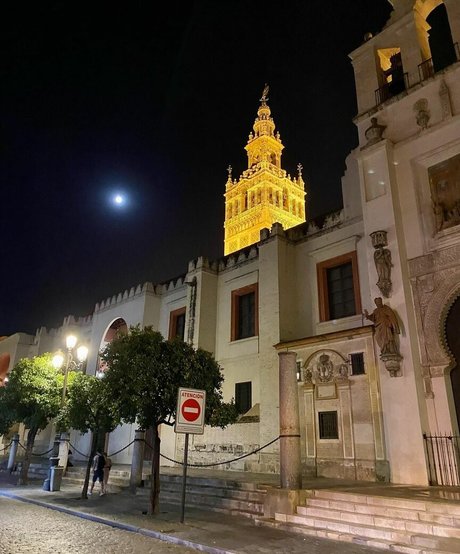 Mariana De Sousa pretty star images