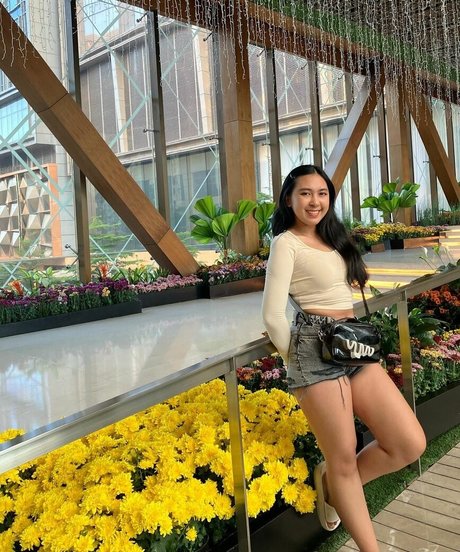 nininplays beautiful star images