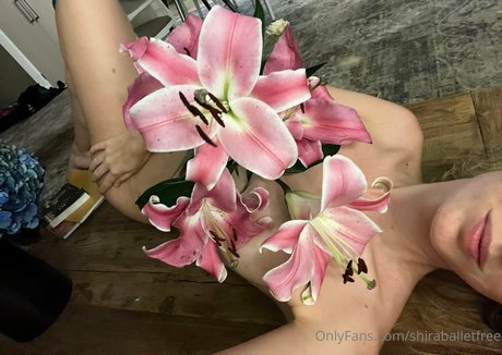 shiraballetfree art pornstar photos