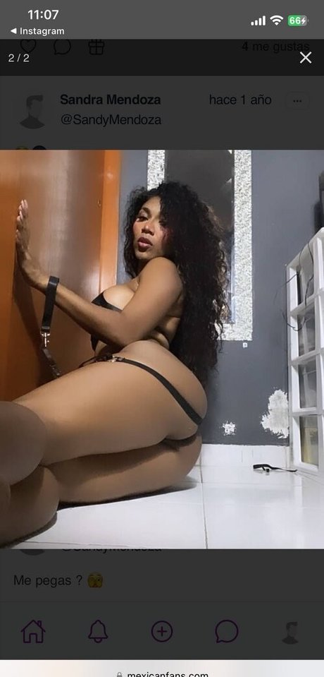 Sandy Mendoza hd actress pic