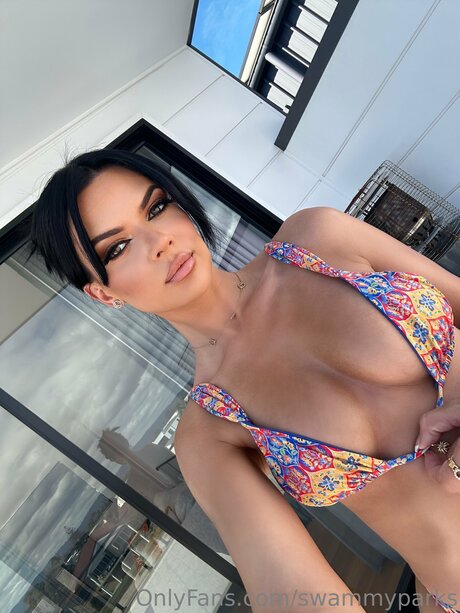 swammyparks model art images