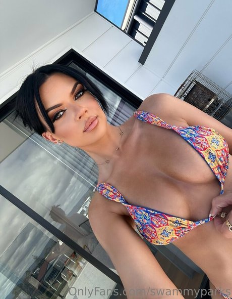 swammyparks model art galleries