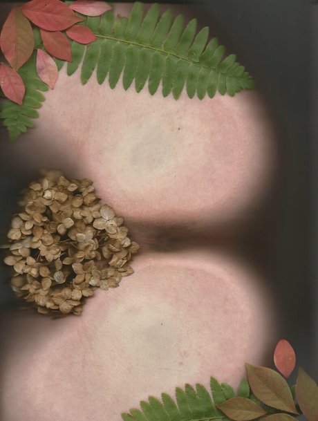 bb apathy nudes star gallery