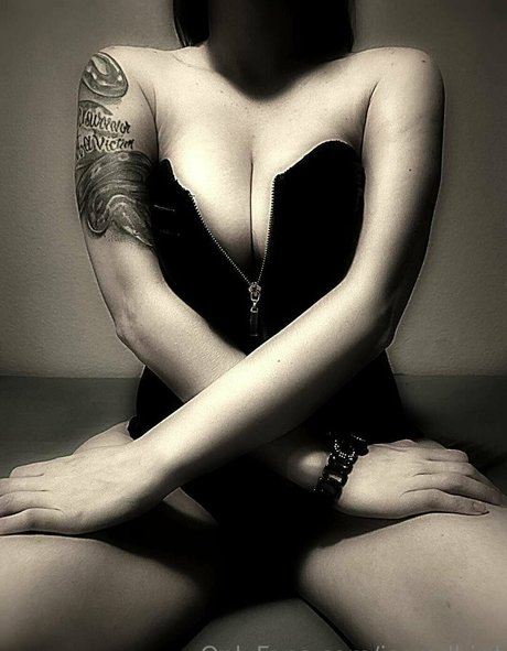 isaredbird free star images