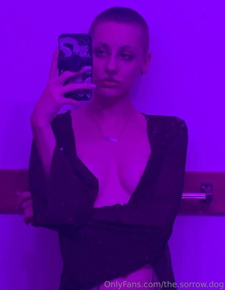 the sorrow dog top star photo