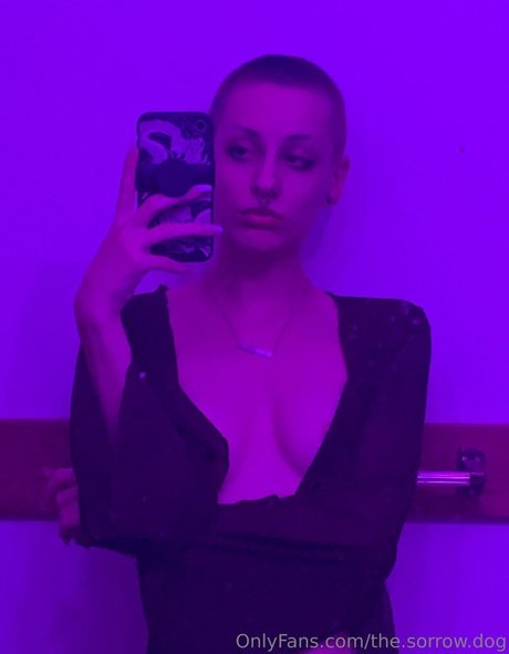 the sorrow dog top pornstar archive