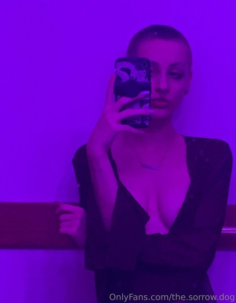 the sorrow dog model hd pics