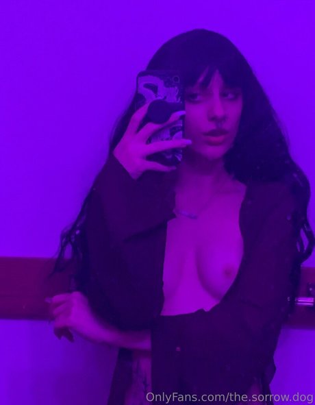 the sorrow dog model img