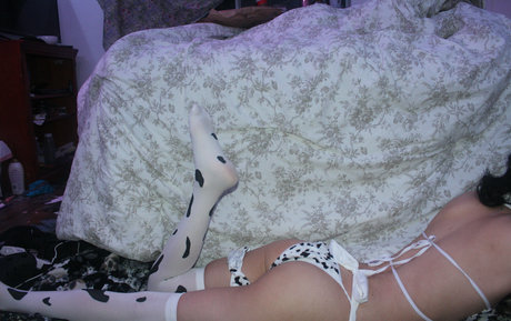 the sorrow dog pornstar pretty images