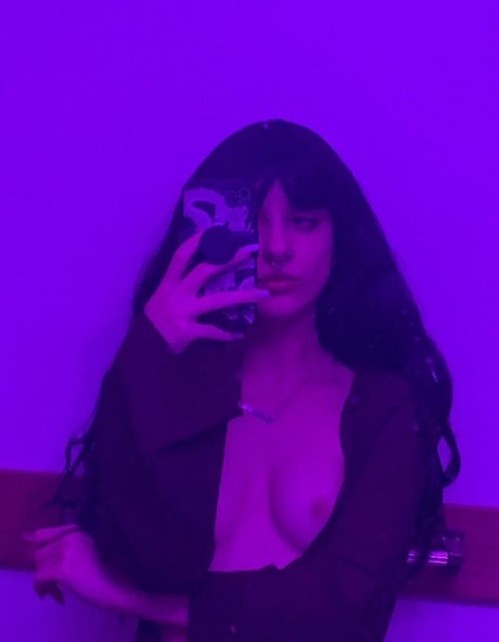 the sorrow dog star top gallery