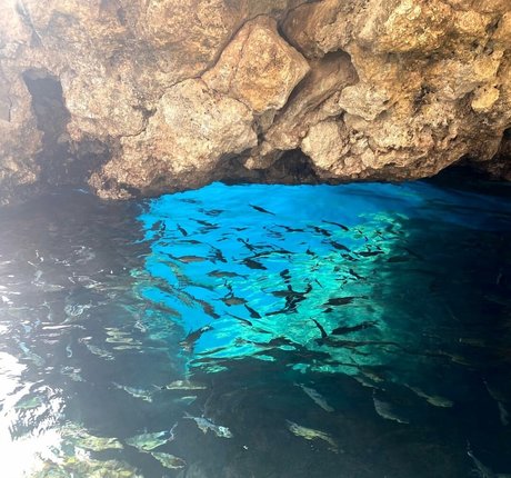 Monica Gonzalez beautiful star archive