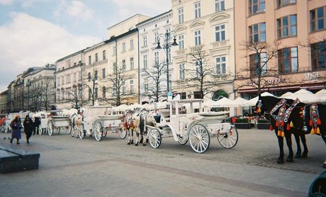 Lily Mcalpine perfect actress picture