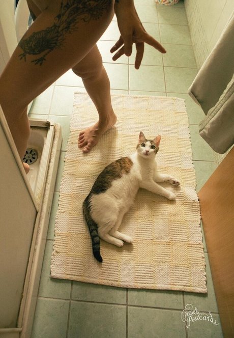 Sara Noli naked actress picture