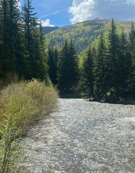 montana2004 pornstar beautiful images