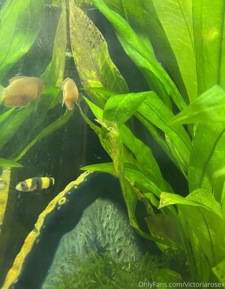 ebony skinny onlyfans sex images