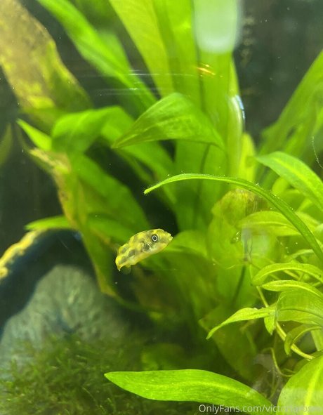 famous female onlyfans free xxx pics