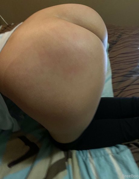 breeboo sex actress pics