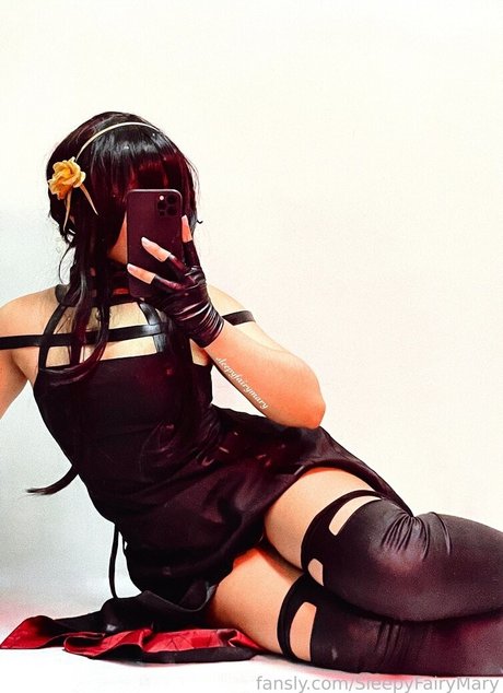 SleepyFairyMary star top photo