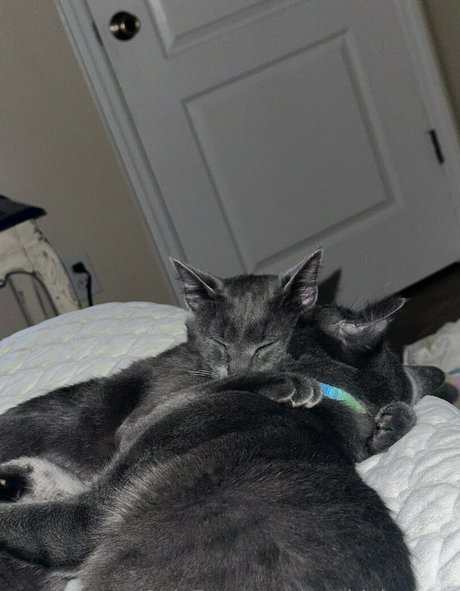 maddylovings model pretty pictures