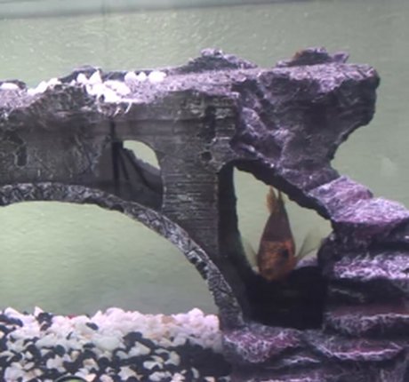 Tiffany Tyler pornstar erotic img