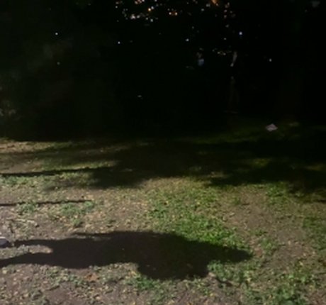 FresaMejia pornstar hd image