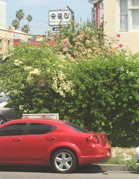 illtakeeverything model exclusive photo