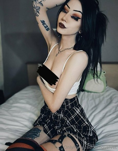 omgvelvet free pornstar archive