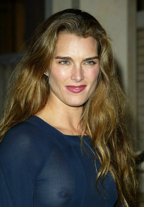 Brooke Shields naked pornstar gallery