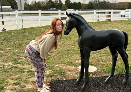 hailei k star high quality img