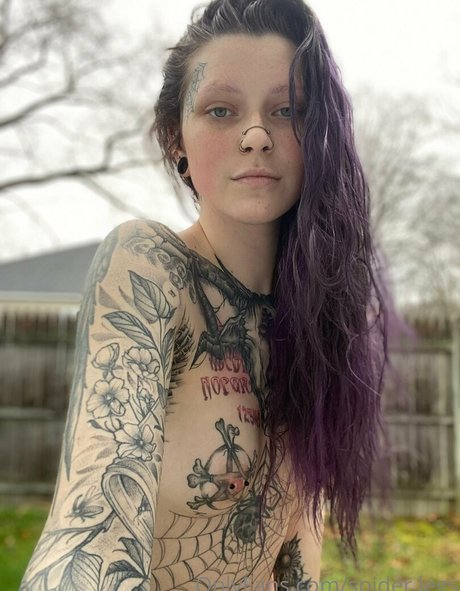 spider legs model pics