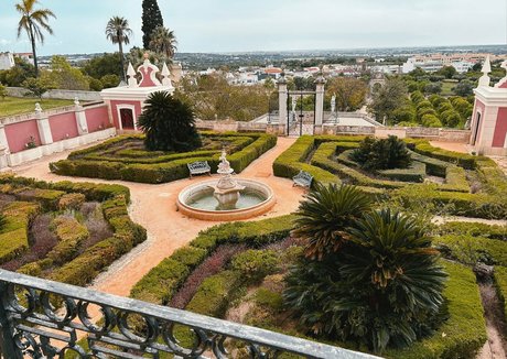 oliveglass star pornographic images