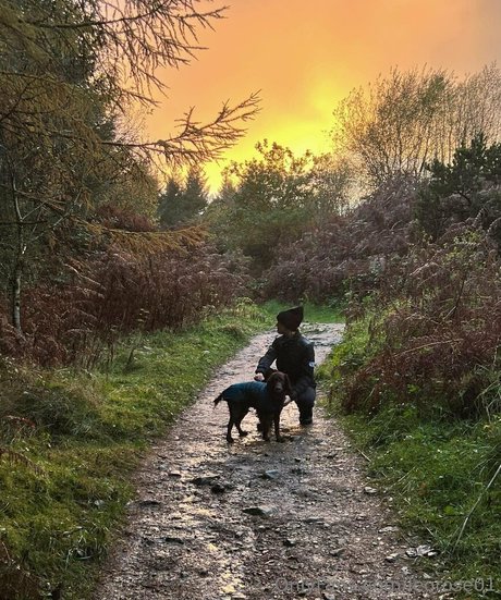 leorose01 high quality pornstar galleries