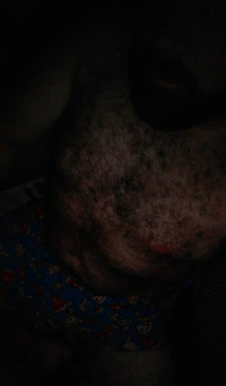 beardedgeeky star high quality archive