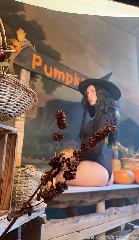 sibmouse star erotic img