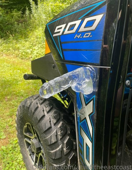 allyofftheeastcoast star free archive