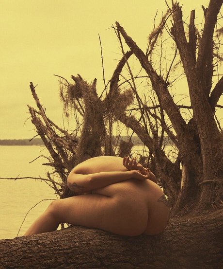 Christian Stout star hot img