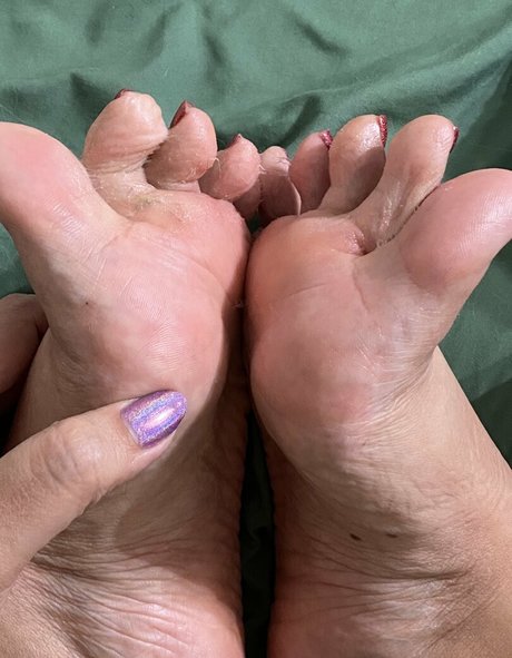 dizzykittenpaws perfect star pictures