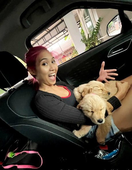 wildcmk sexy star picture