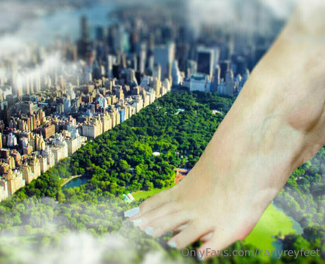 carlyreyfeet pornstar hot galleries